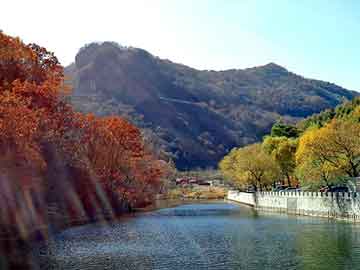 澳门二四六天天彩图库，科雷傲论坛